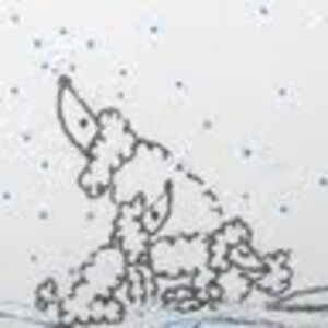 Meet your Posher, Jayme